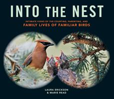   Into the Nest