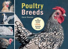   Poultry Breeds