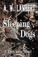   Sleeping Dogs