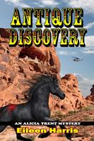   Antique Discovery