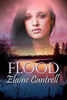   Flood