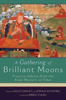   A Gathering of Brilliant Moons