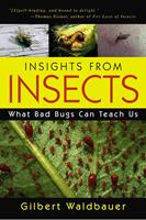   Insights From Insects