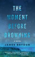   The Moment Before Drowning
