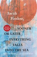   Sooner or Later Everything Falls Into the Sea