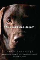   The Wrong Dog Dream