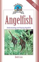   Angelfish