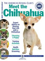  Meet the Chihuahua