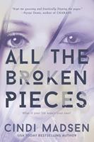   All the Broken Pieces