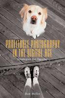   Profitable Photography in Digital Age
