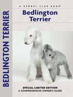   Bedlington Terrier