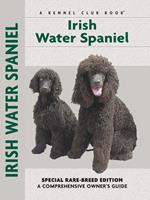   Irish Water Spaniel