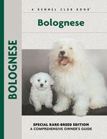   Bolognese