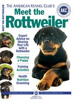   Meet the Rottweiler