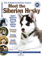   Meet the Siberian Husky