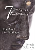   7 Treasures of Awakening
