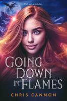  Going Down in Flames
