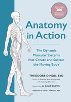   Anatomy in Action
