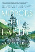   Mirrors in the Earth