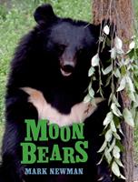   Moon Bears