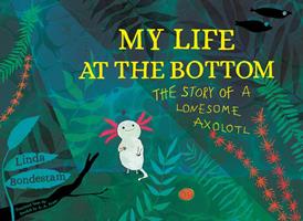   My Life at the Bottom