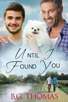   Until I Found You