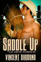   Saddle Up Box Set
