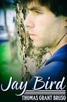   Jay Bird