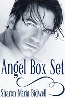   Angel Box Set