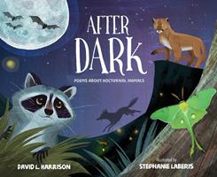   After Dark