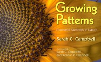   Growing Patterns