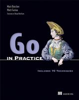   Go in Practice