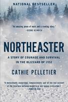   Northeaster