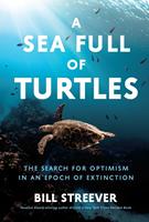   A Sea Full of Turtles