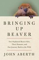   Bringing Up Beaver