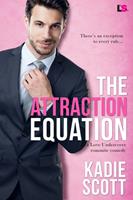   The Attraction Equation