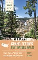   Yellowstone and Grand Teton's Best Nature Walks