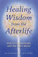   Healing Wisdom from the Afterlife