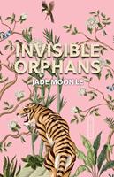   Invisible Orphans