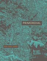   Primordial