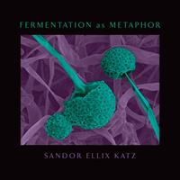   Fermentation as Metaphor