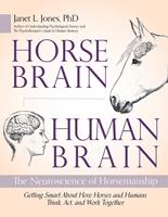   Horse Brain, Human Brain