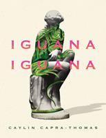   Iguana Iguana