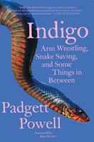   Indigo