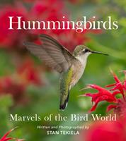   Hummingbirds