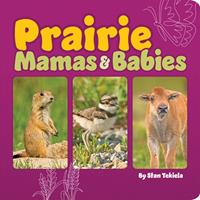   Prairie Mamas & Babies