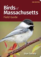 Birds of Massachusetts Field Guide