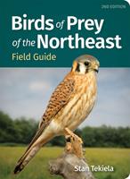   Birds of Prey of the Northeast Field Guide