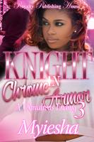   Knight In Chrome Armor 3