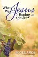   What Was Jesus Hoping to Achieve?